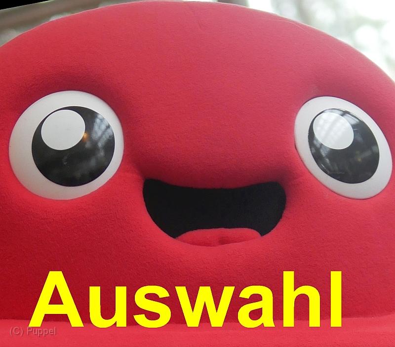 A Auswahl.jpg